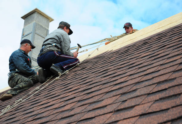 Best Gutter Installation and Roofing  in East Lake, FL