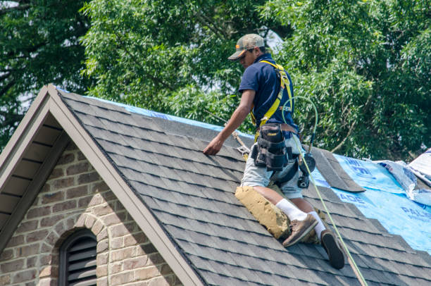 Quick and Trustworthy Emergency Roof Repair Services in East Lake, FL